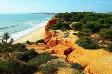 Fotoekspedycja: Malta – kwiaty na klifach