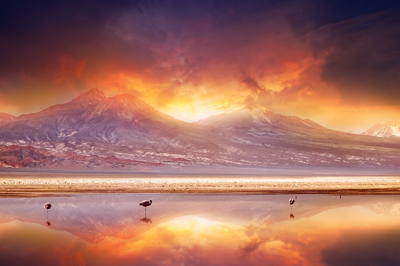 Dzikie piękno Atacamy