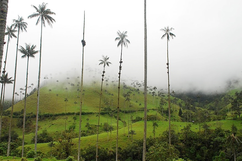 Kolumbia – jedyne ryzyko jest takie, że zechcesz zostać…