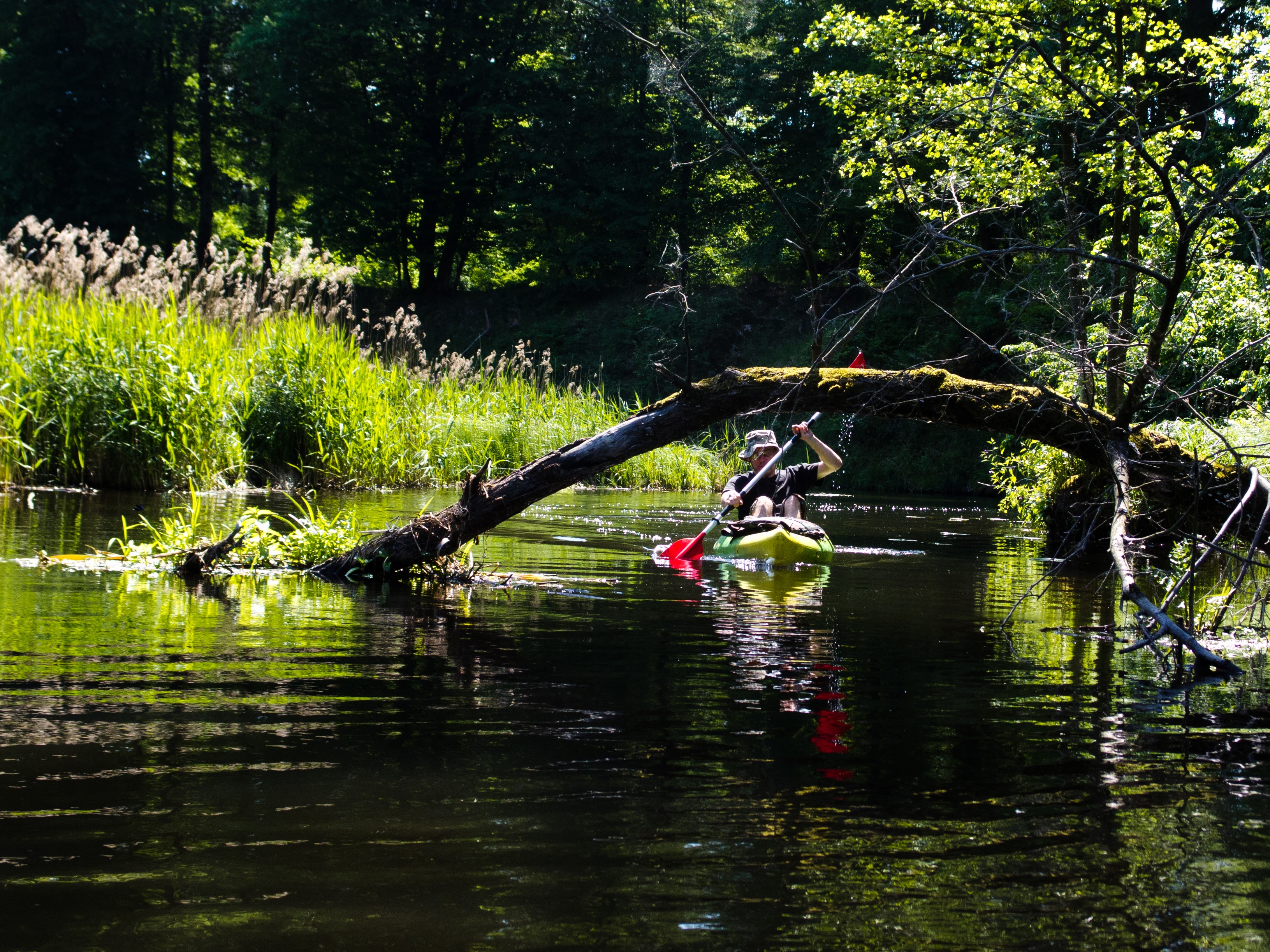 Kajaki okiem eksperta