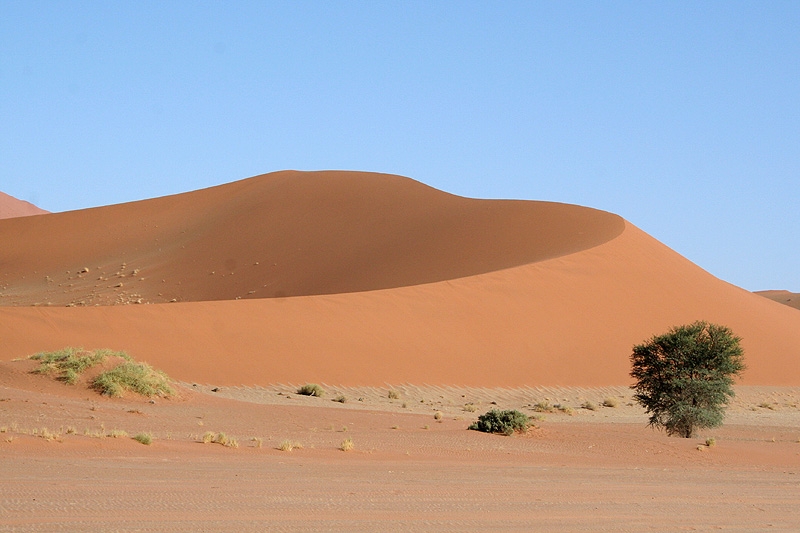 Pomarańczowe piaski pustyni Namib