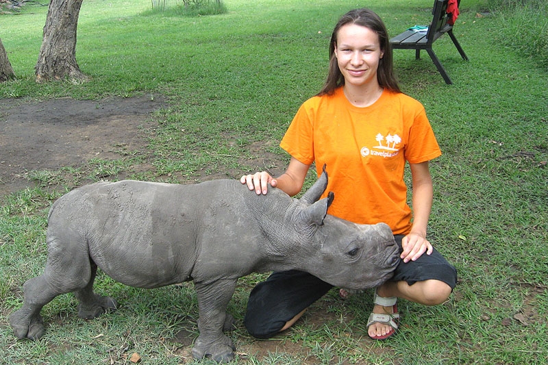 W krainie dzikich zwierząt