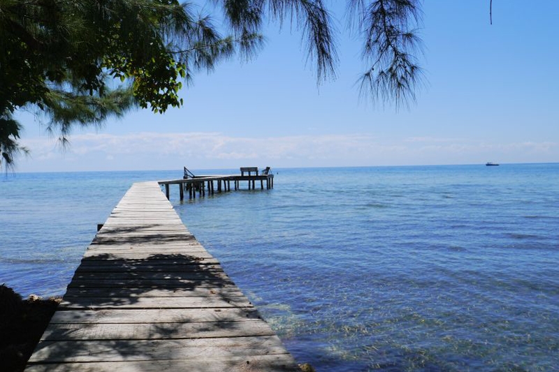 Wyspa Utila. Stolica nurków alternatywnie