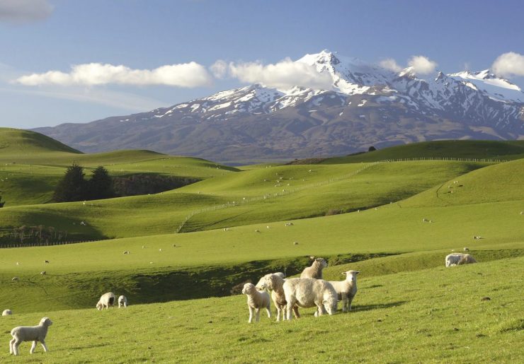 Australia – Nowa Zelandia