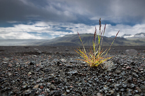 Zimowa Islandia ( Jeep Safari ) – indywidualne