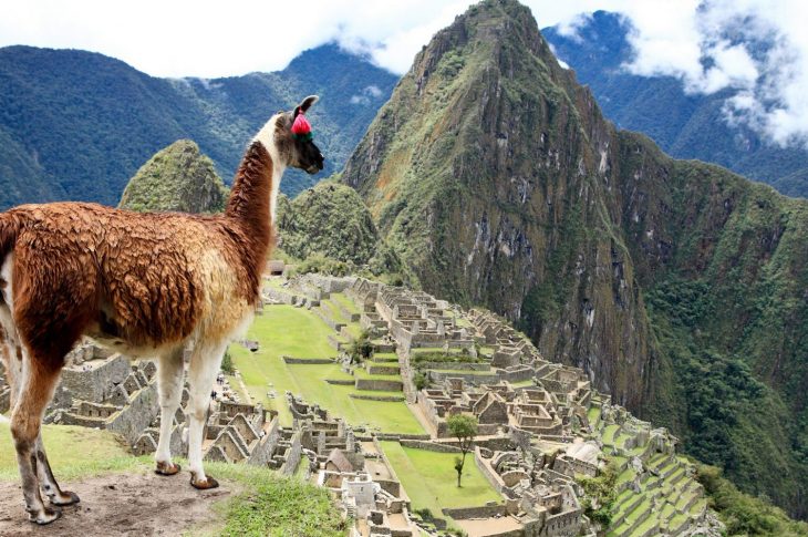 Szlakiem złota Inków