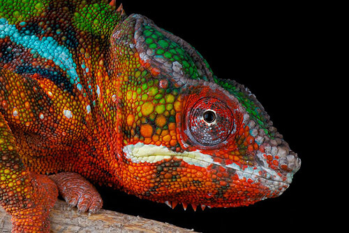 Madagaskar + Wysepka Sainte Marie