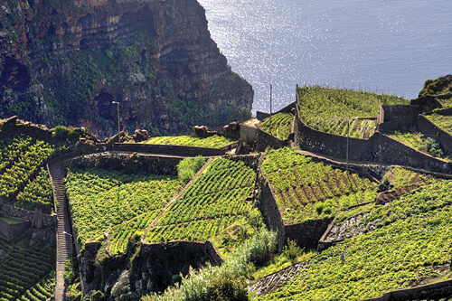 Góry i lewady Madery