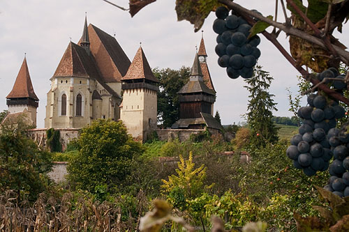 W pogoni za Drakulą