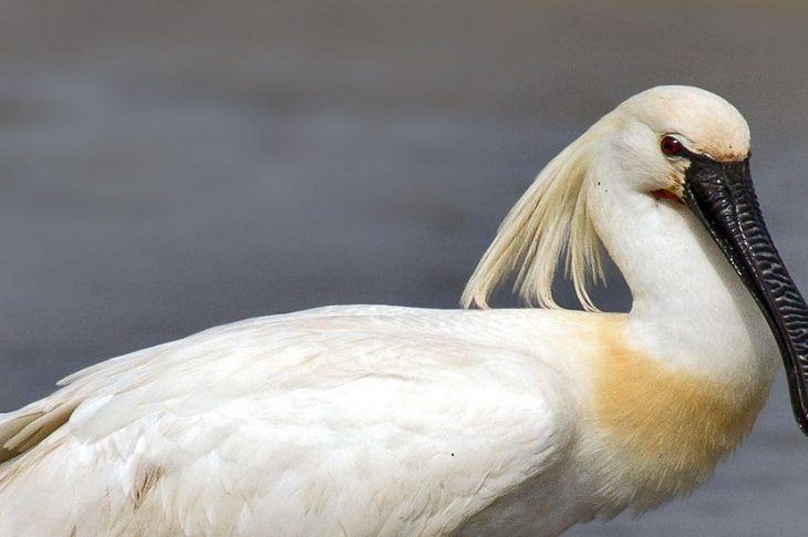 Idzie wiosna od południa