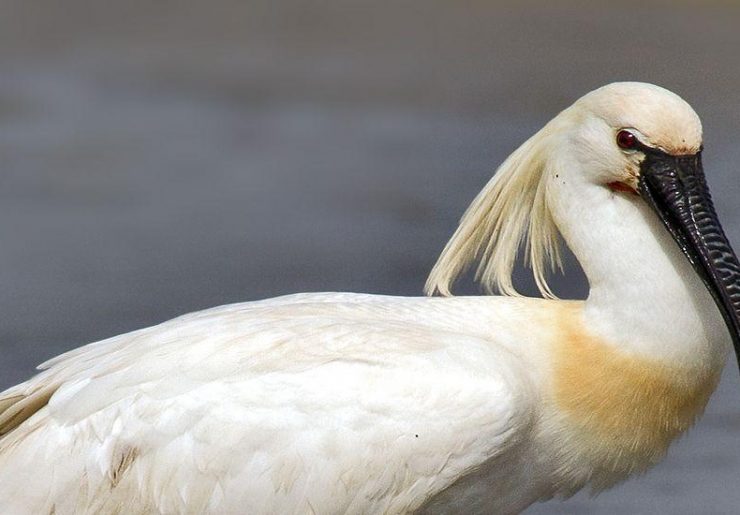 Idzie wiosna od południa