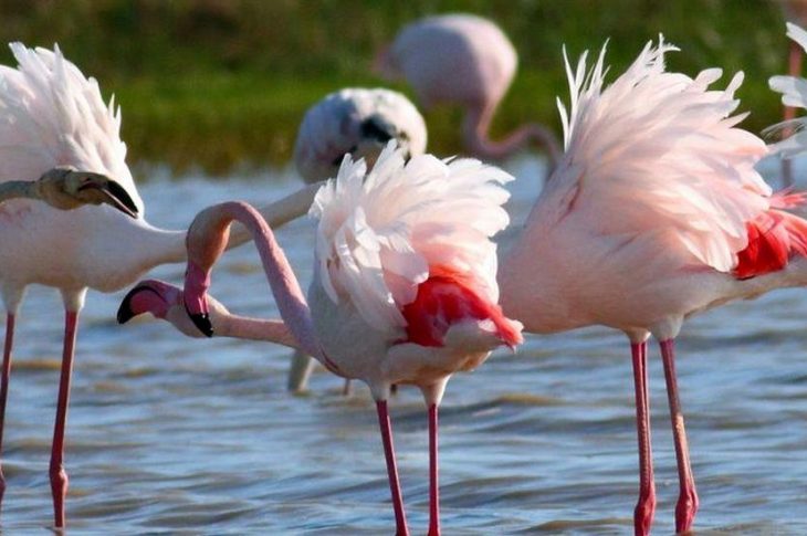 W słońcu Andaluzji