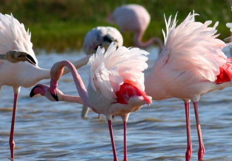 W słońcu Andaluzji