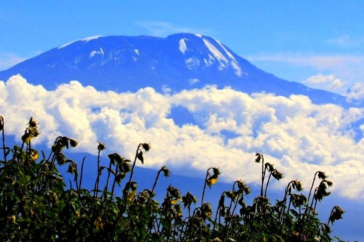 Śniegi Kilimandżaro