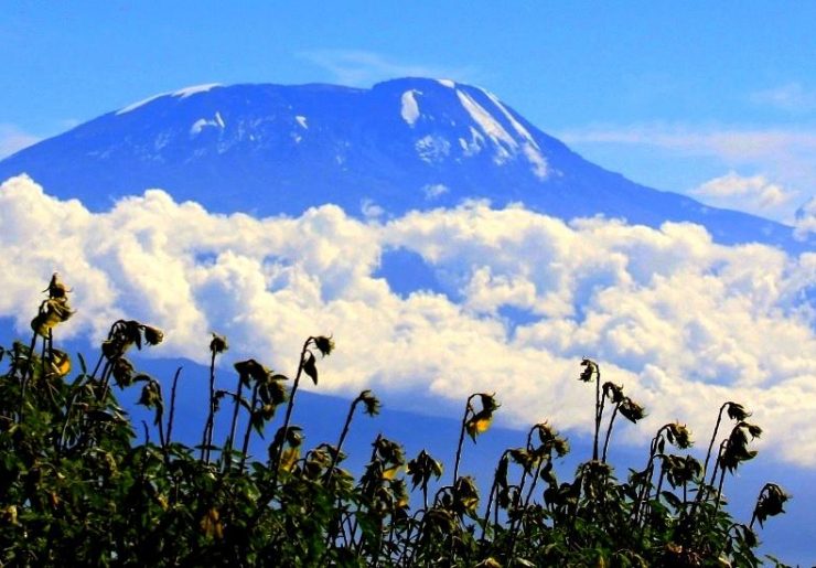 Śniegi Kilimandżaro